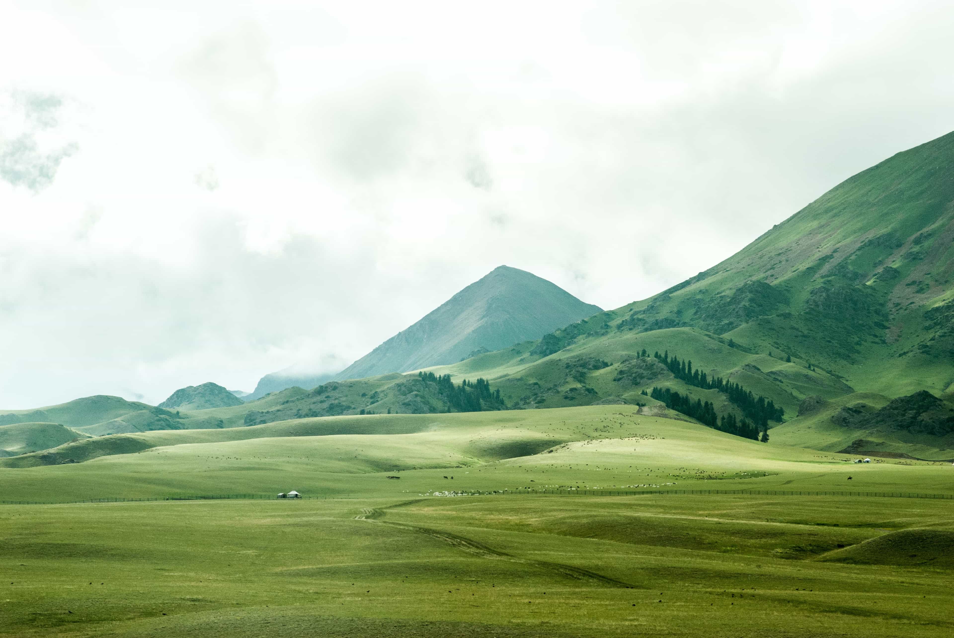 fields.jpg